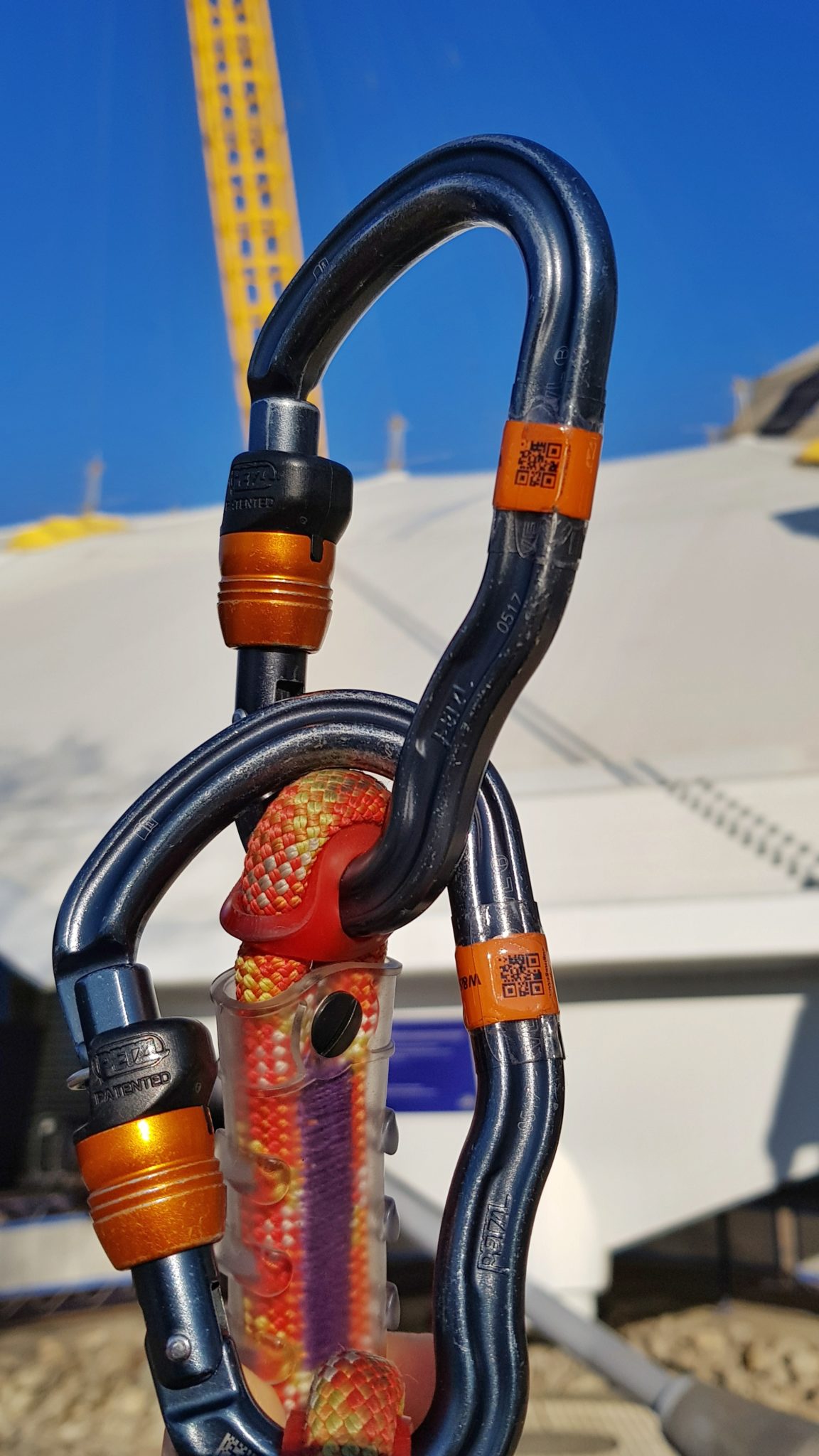 20190214_095051-02-scaled